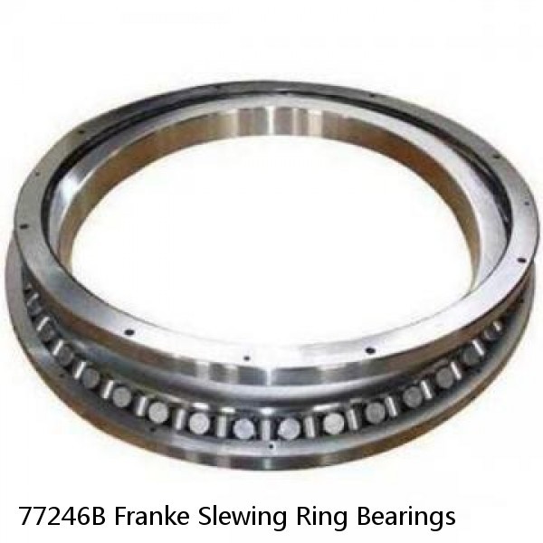 77246B Franke Slewing Ring Bearings