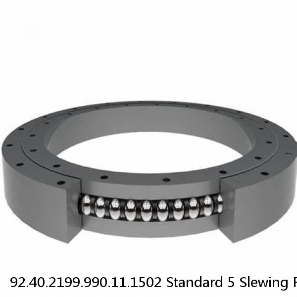 92.40.2199.990.11.1502 Standard 5 Slewing Ring Bearings