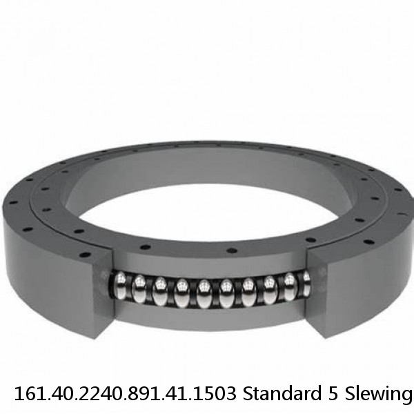 161.40.2240.891.41.1503 Standard 5 Slewing Ring Bearings