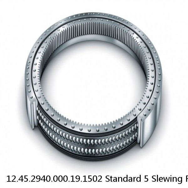 12.45.2940.000.19.1502 Standard 5 Slewing Ring Bearings