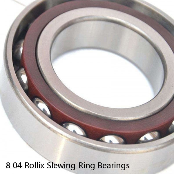 8 04 Rollix Slewing Ring Bearings