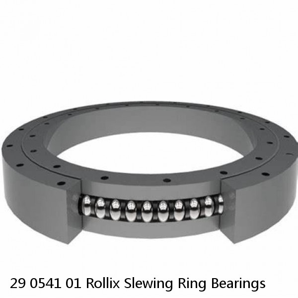 29 0541 01 Rollix Slewing Ring Bearings