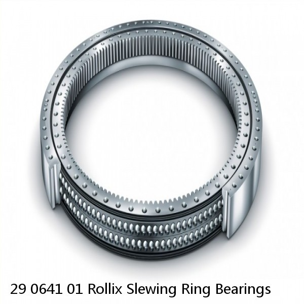 29 0641 01 Rollix Slewing Ring Bearings