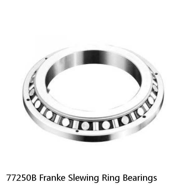 77250B Franke Slewing Ring Bearings