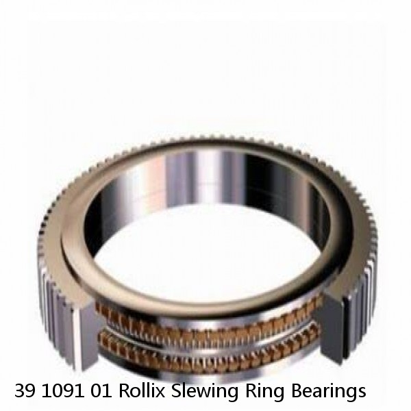 39 1091 01 Rollix Slewing Ring Bearings