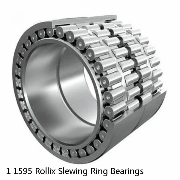 1 1595 Rollix Slewing Ring Bearings