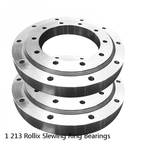 1 213 Rollix Slewing Ring Bearings