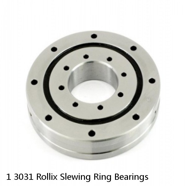 1 3031 Rollix Slewing Ring Bearings