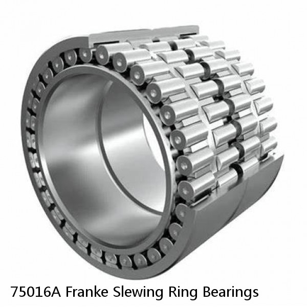 75016A Franke Slewing Ring Bearings