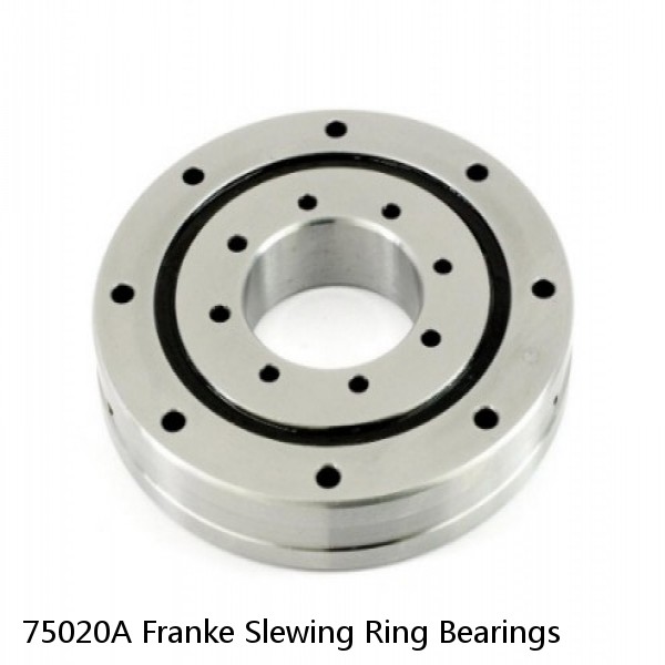 75020A Franke Slewing Ring Bearings