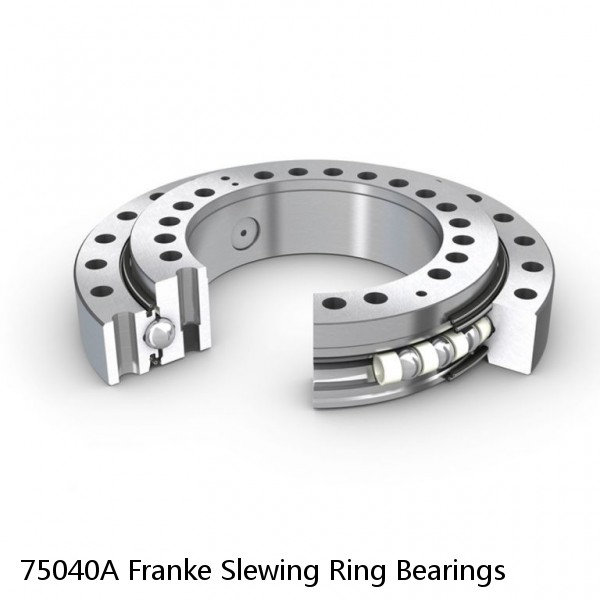 75040A Franke Slewing Ring Bearings