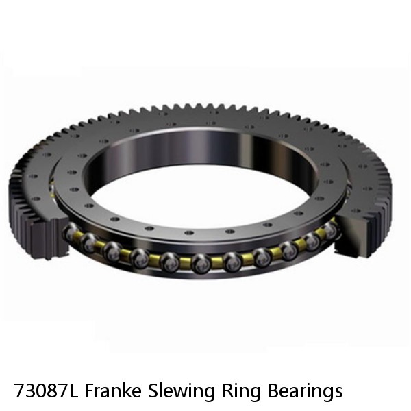 73087L Franke Slewing Ring Bearings