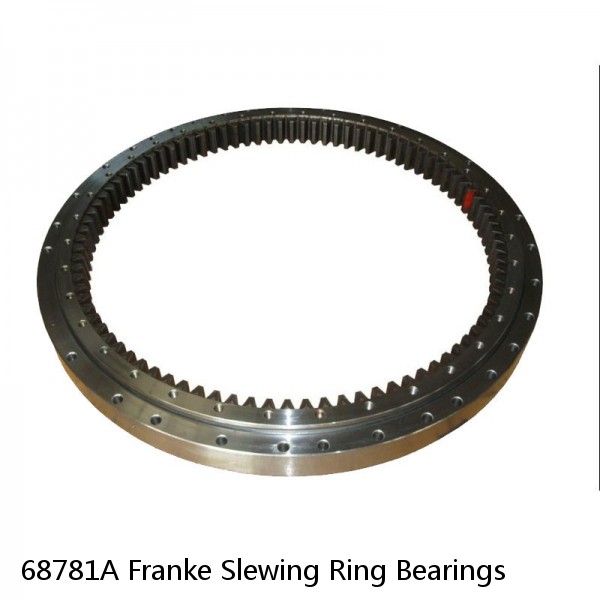 68781A Franke Slewing Ring Bearings