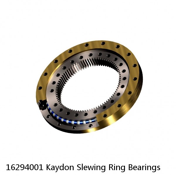 16294001 Kaydon Slewing Ring Bearings