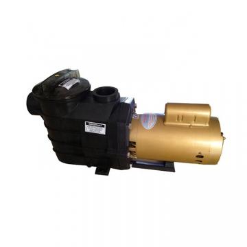 Piston Pump PVQ13-A2R-SS1S-20-C14-12 Piston Pump