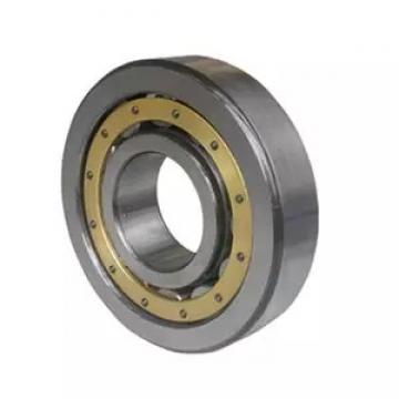 NJ2319-E-M1-C3 FAG  Cylindrical Roller Bearings