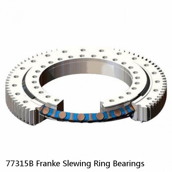 77315B Franke Slewing Ring Bearings