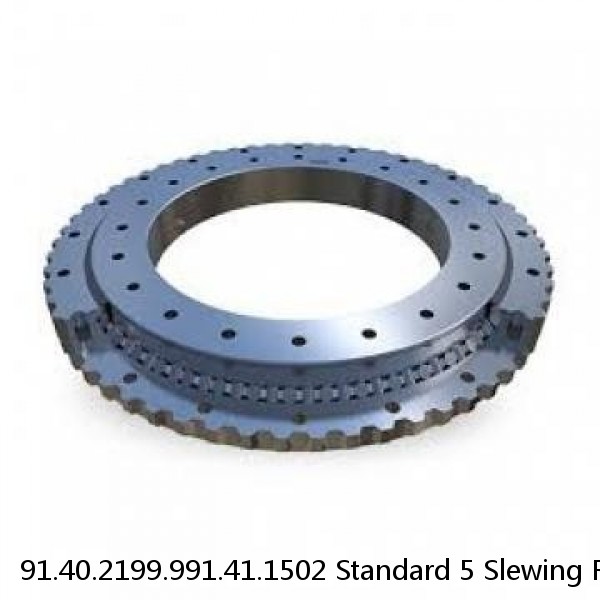 91.40.2199.991.41.1502 Standard 5 Slewing Ring Bearings