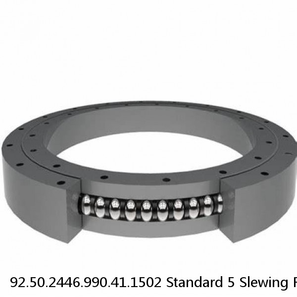 92.50.2446.990.41.1502 Standard 5 Slewing Ring Bearings