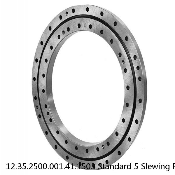 12.35.2500.001.41.1503 Standard 5 Slewing Ring Bearings