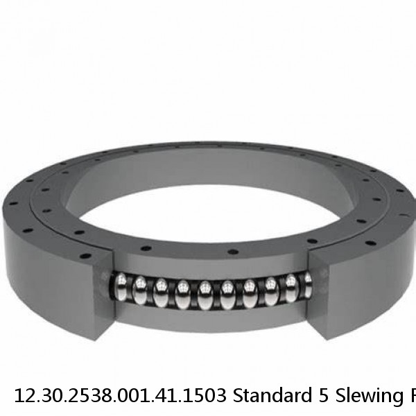 12.30.2538.001.41.1503 Standard 5 Slewing Ring Bearings