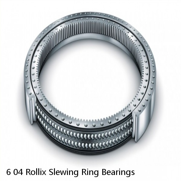 6 04 Rollix Slewing Ring Bearings