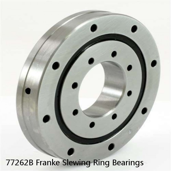 77262B Franke Slewing Ring Bearings