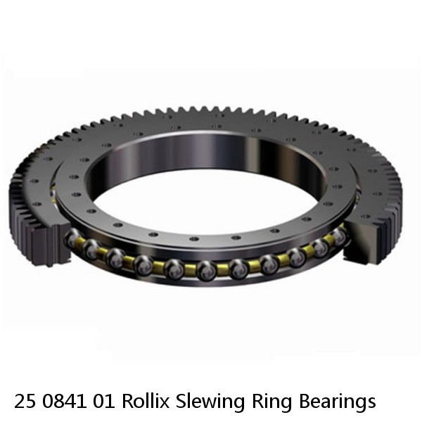 25 0841 01 Rollix Slewing Ring Bearings