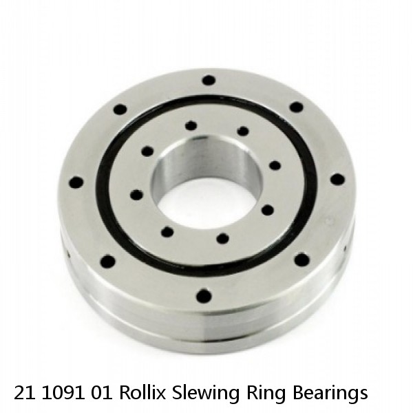 21 1091 01 Rollix Slewing Ring Bearings