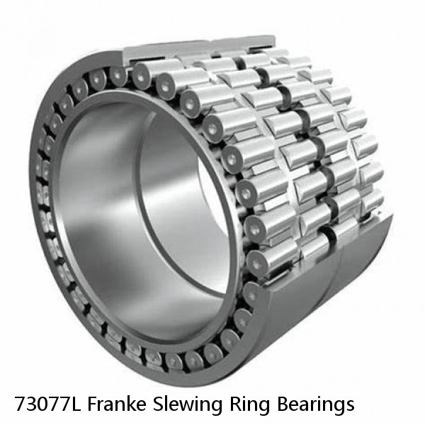 73077L Franke Slewing Ring Bearings