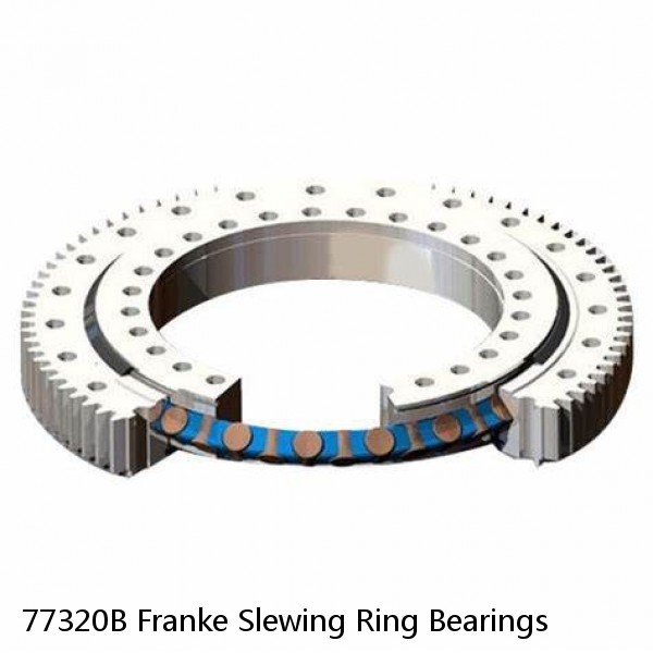 77320B Franke Slewing Ring Bearings