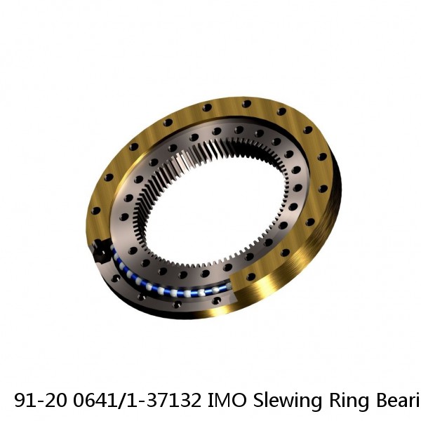 91-20 0641/1-37132 IMO Slewing Ring Bearings