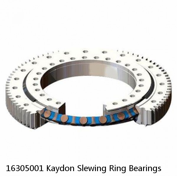 16305001 Kaydon Slewing Ring Bearings