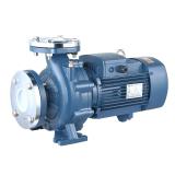 Piston Pump PVB29-RSY-22-CM-11 Piston Pump